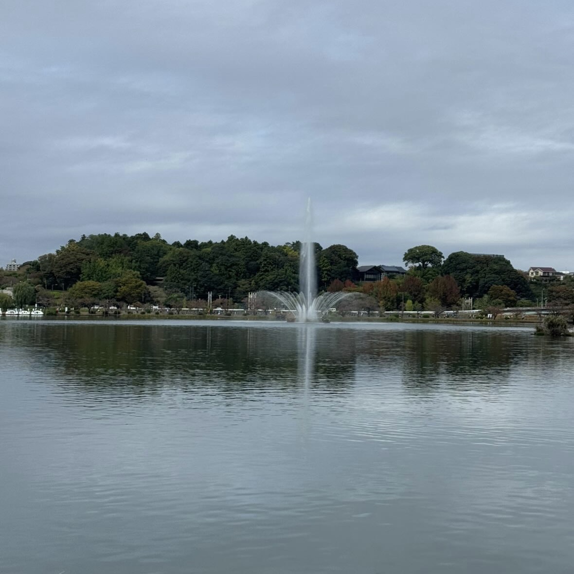 水戸黄門漫遊マラソン　コース写真