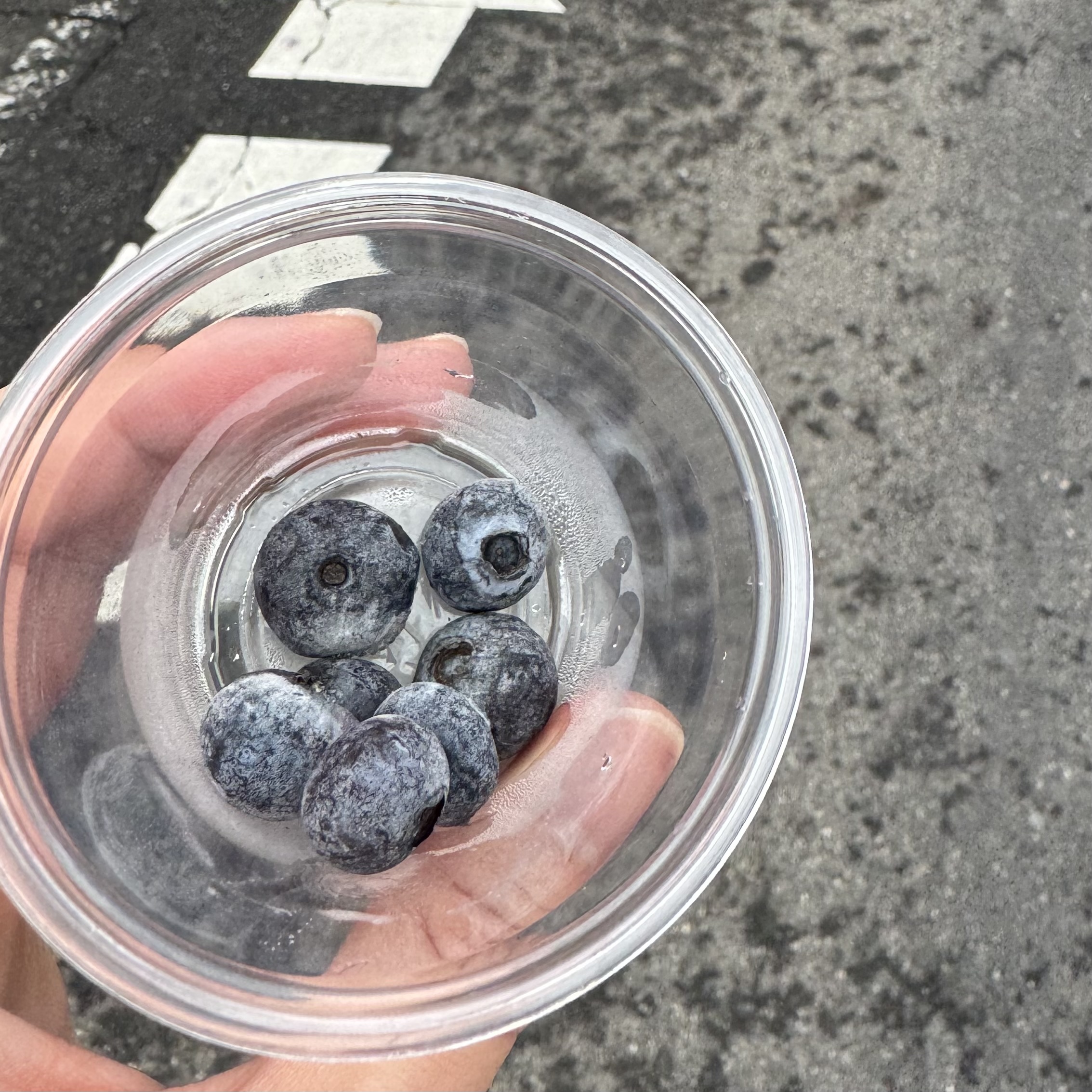 水戸黄門漫遊マラソン　エイド　