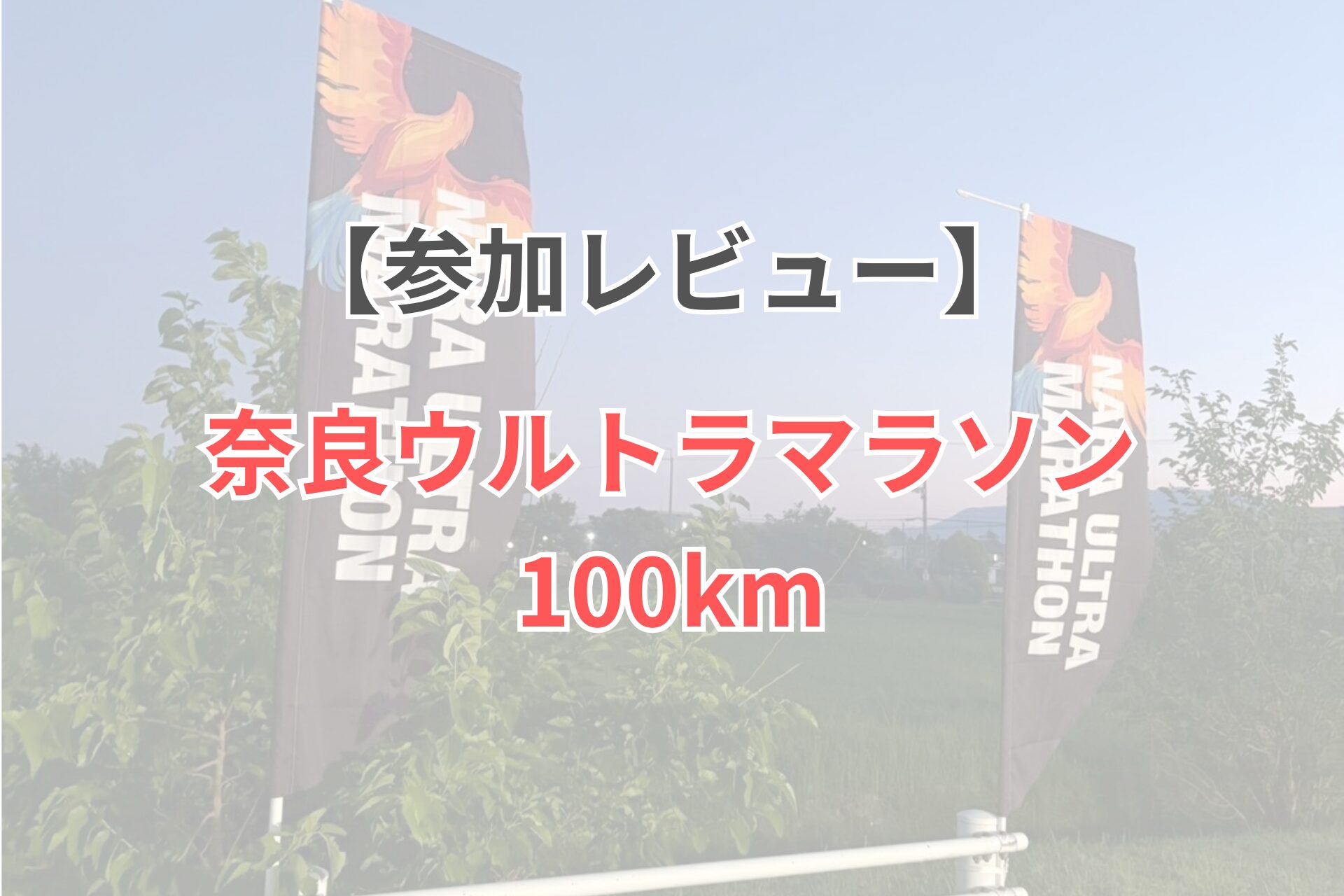 奈良ウルトラマラソン2026参加レビュー