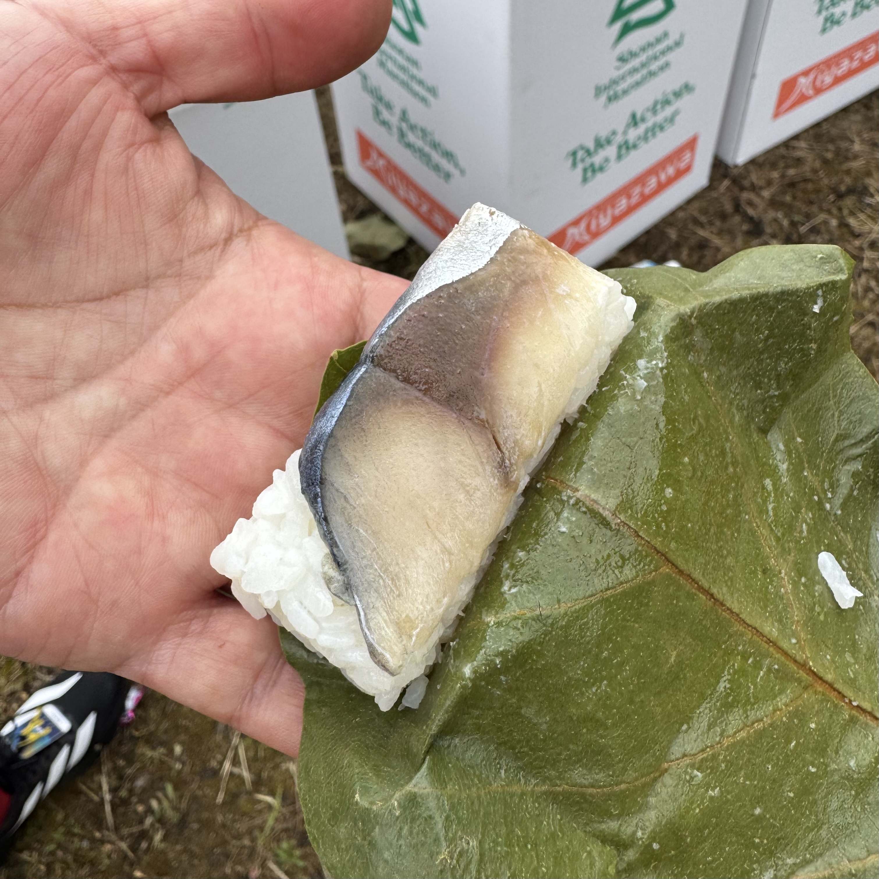 奈良ウルトラ エイド 柿の葉寿司